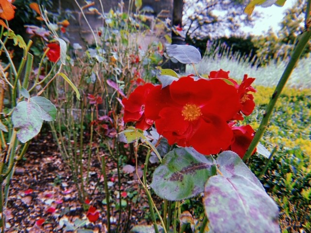 Where Did You Sleep Last&nbsp;Night